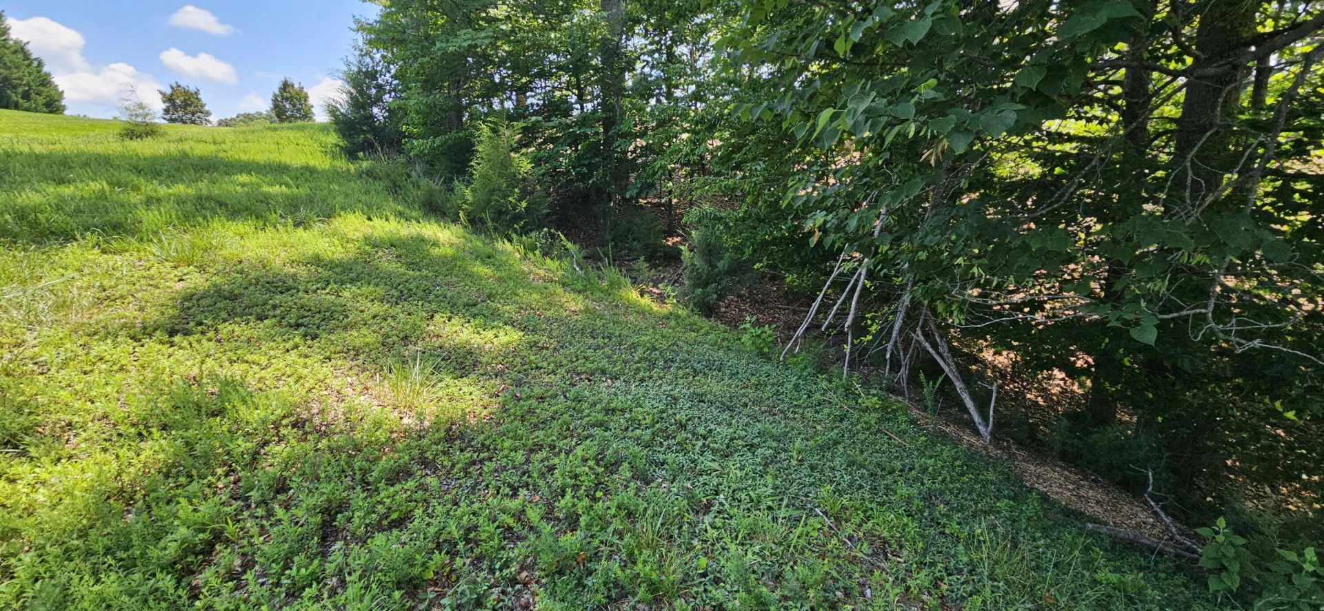 Lot 7 Compass Cove CIR - Photo 21