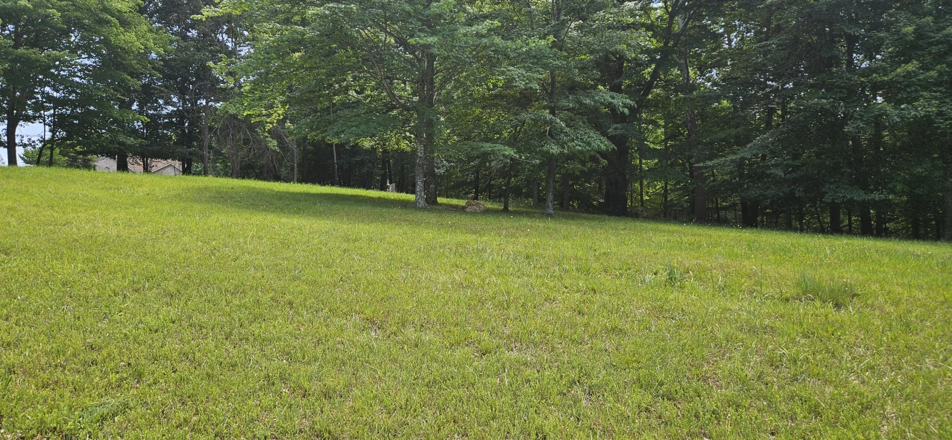 Lot 2 Waterwood DR - Photo 2