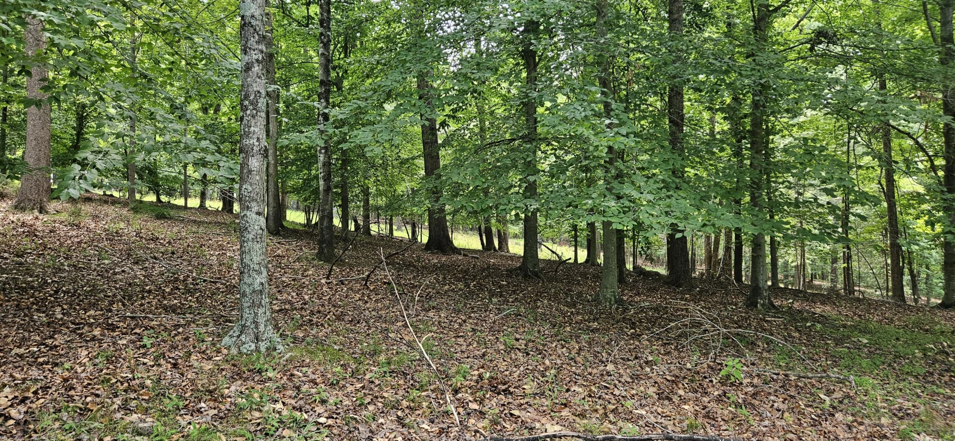 Lot 2 Waterwood DR - Photo 7