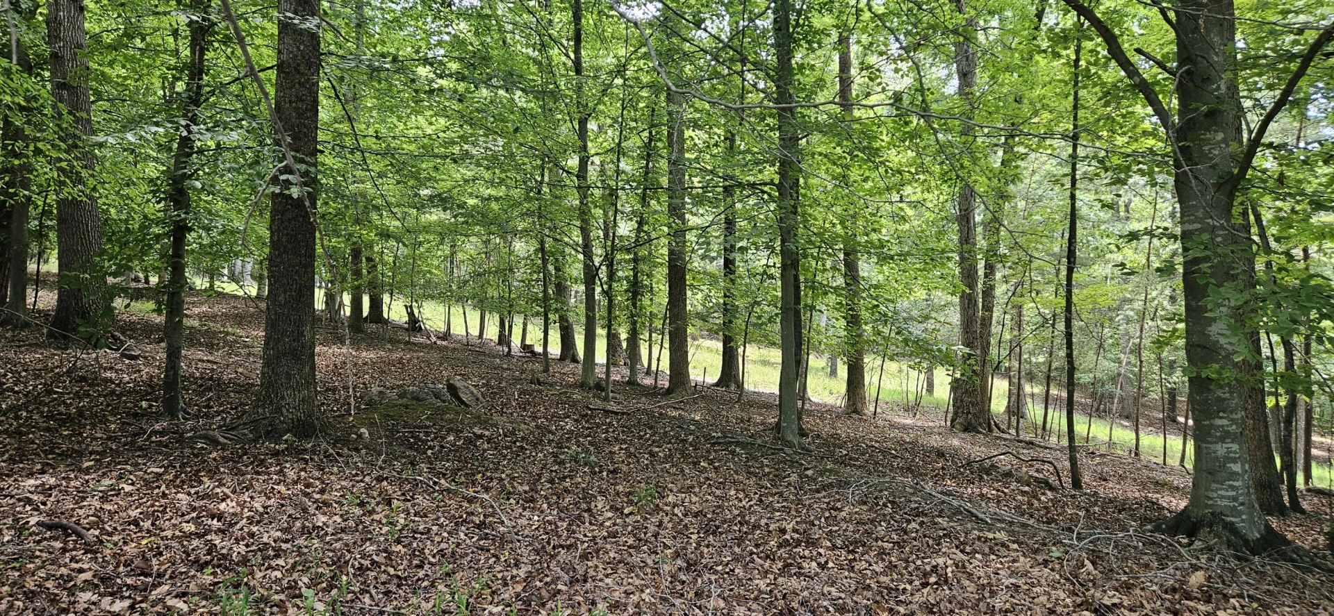 Lot 2 Waterwood DR - Photo 8