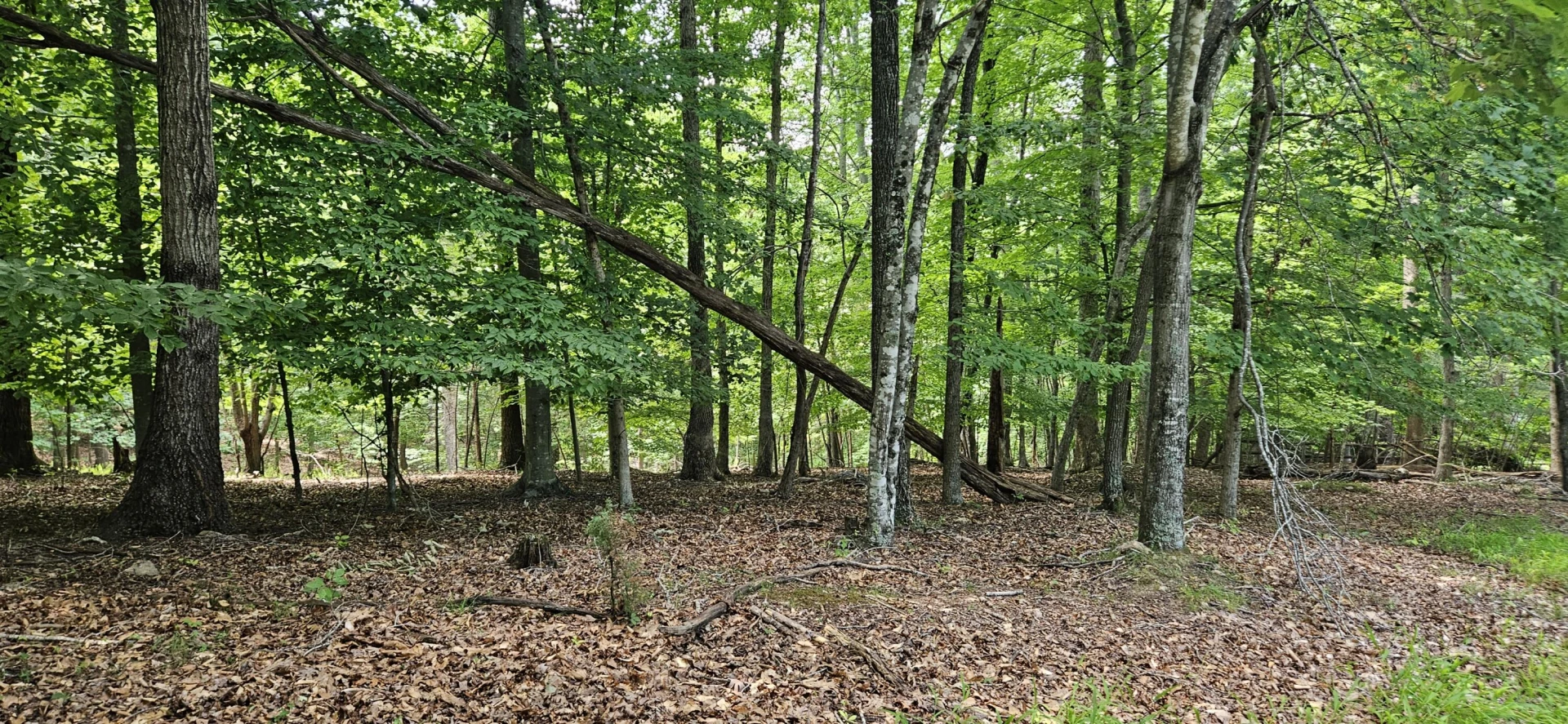 Lot 2 Waterwood DR - Photo 9