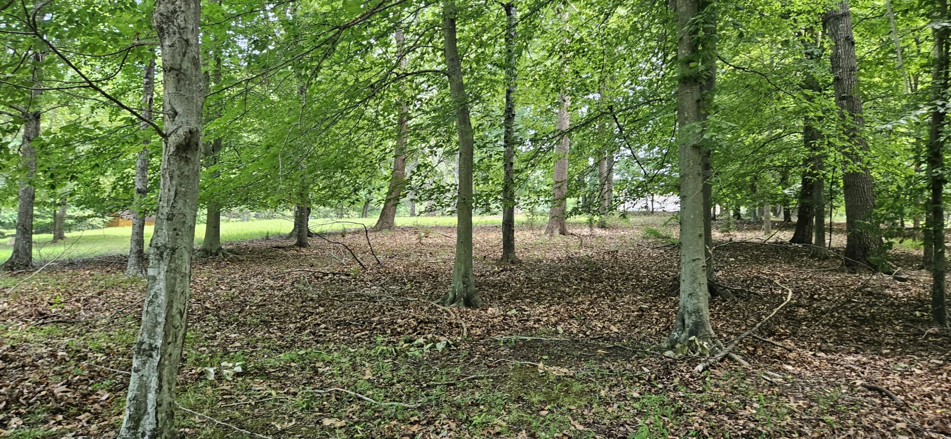 Lot 2 Waterwood DR - Photo 13