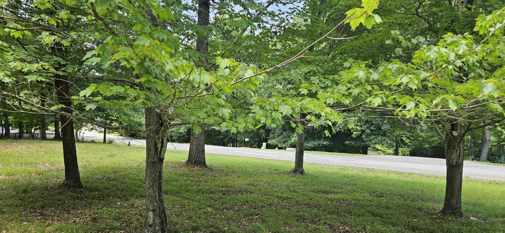 Lot 2 Waterwood DR - Photo 14