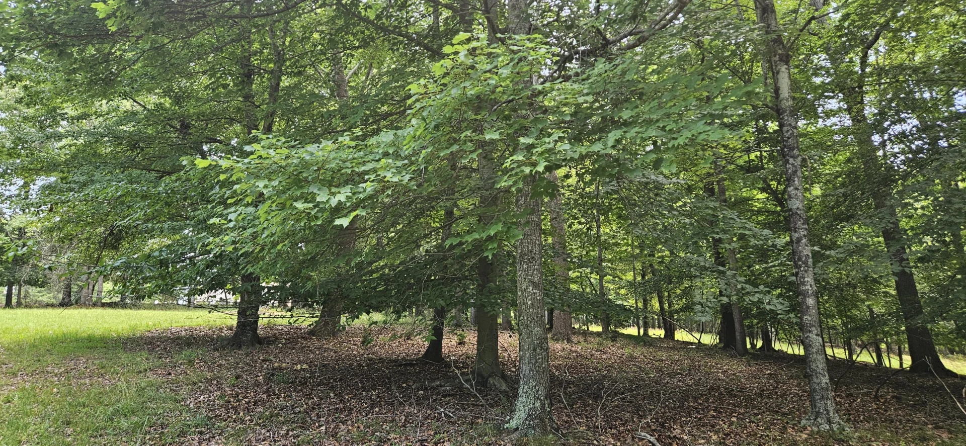 Lot 2 Waterwood DR - Photo 15