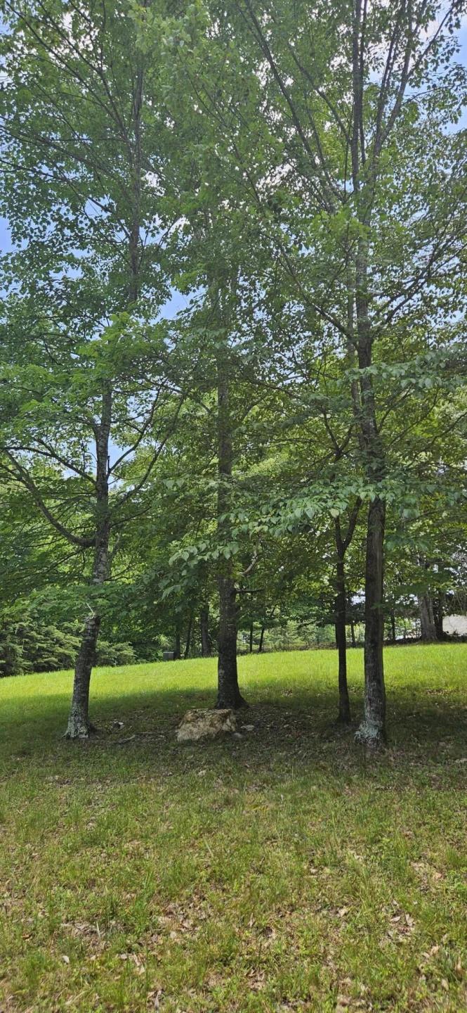 Lot 2 Waterwood DR - Photo 16