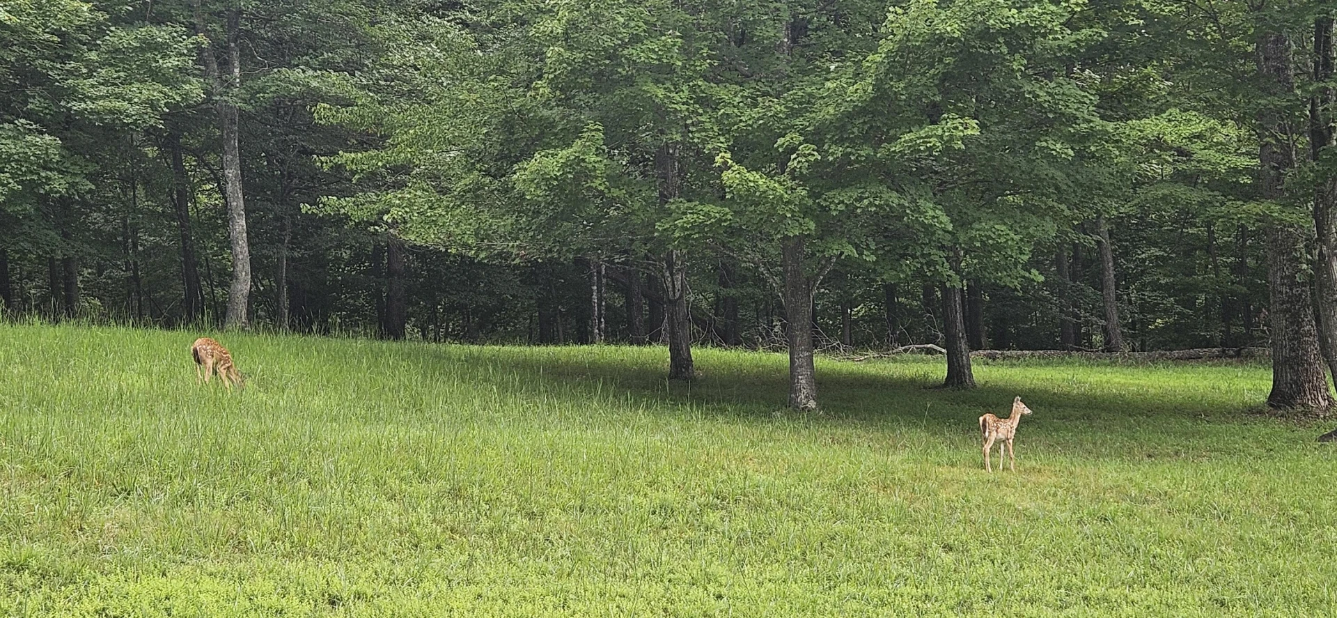 Lot 2 Waterwood DR - Photo 18