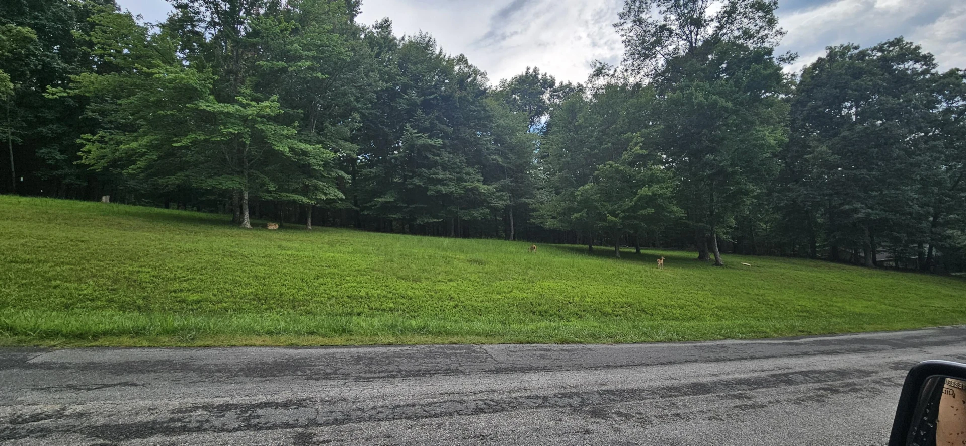 Lot 2 Waterwood DR - Photo 19