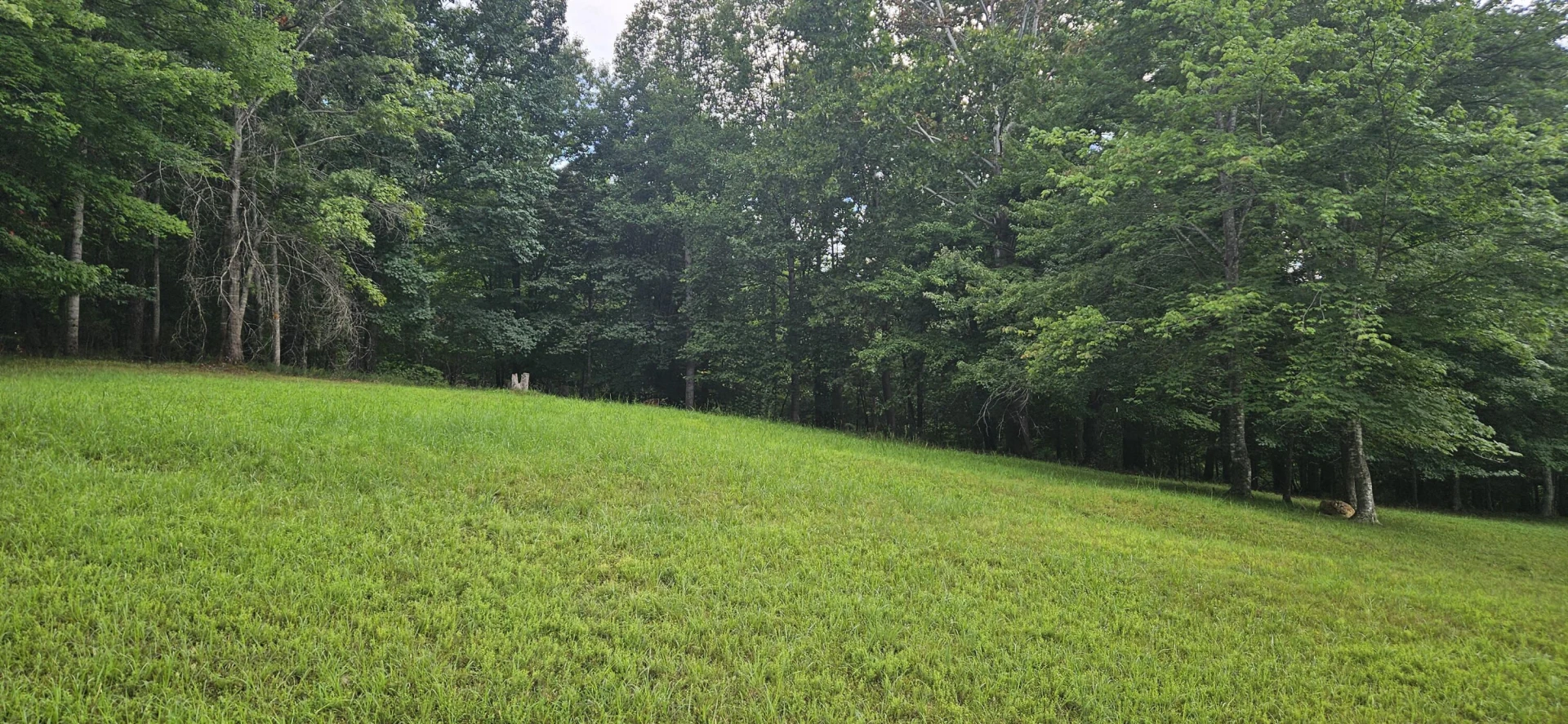 Lot 2 Waterwood DR - Photo 24