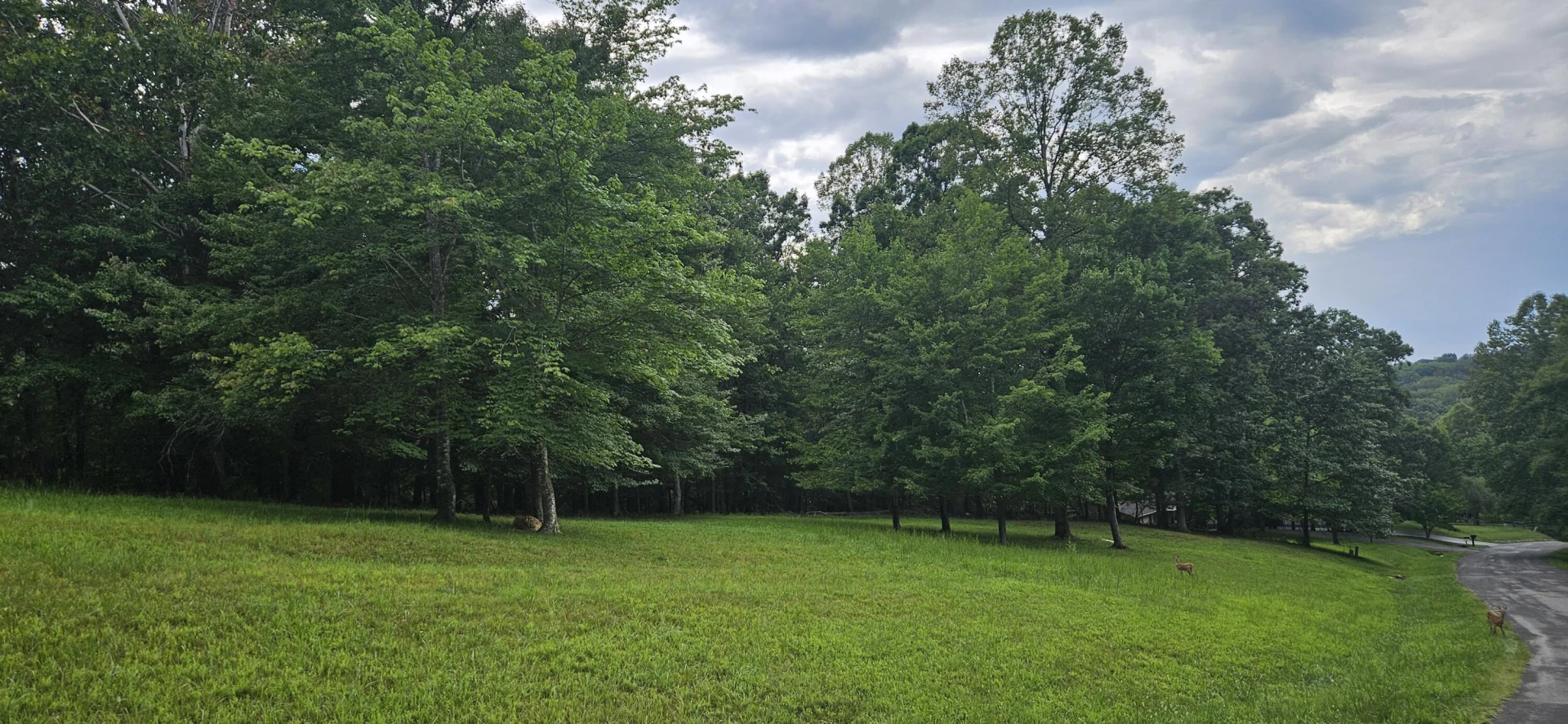 Lot 2 Waterwood DR - Photo 25