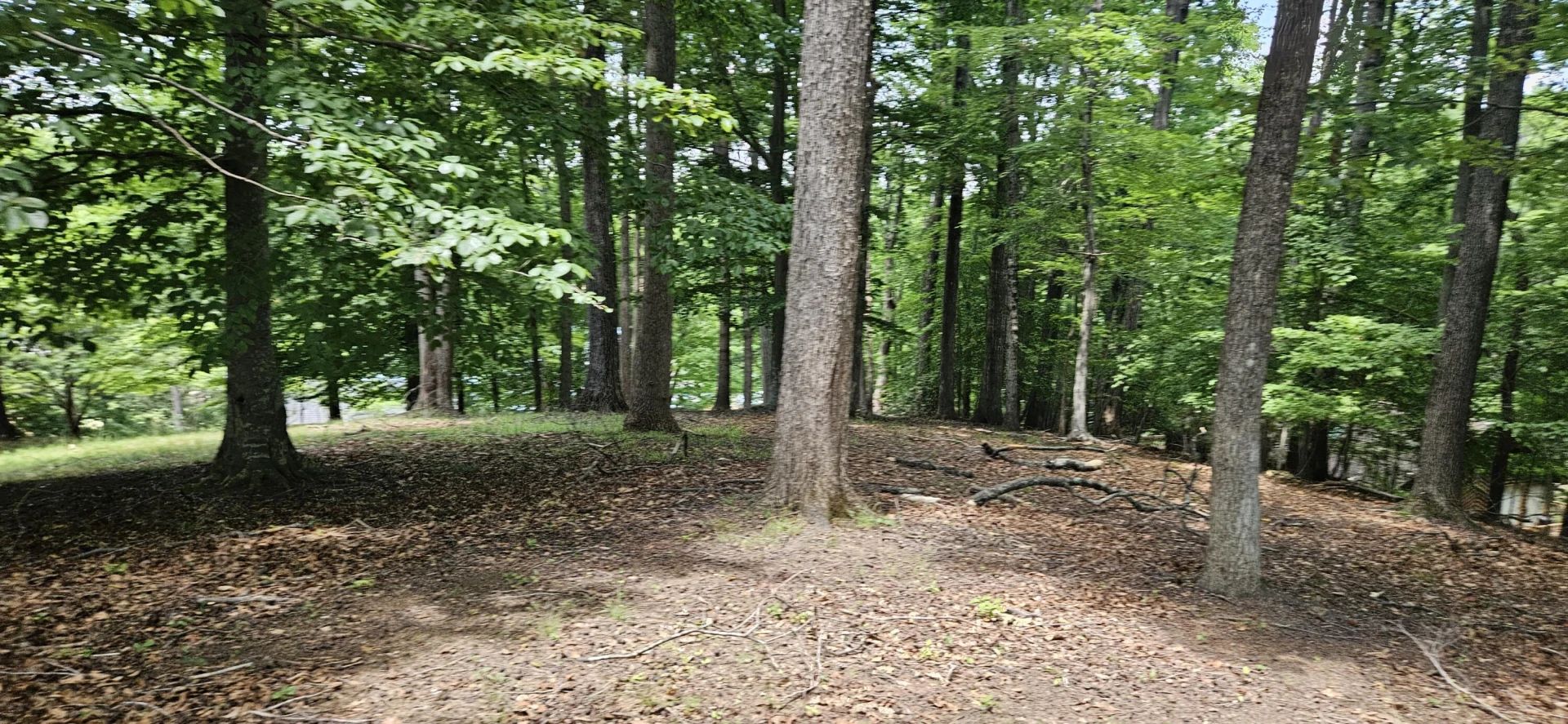 Lot 14 Waterwood DR - Photo 11