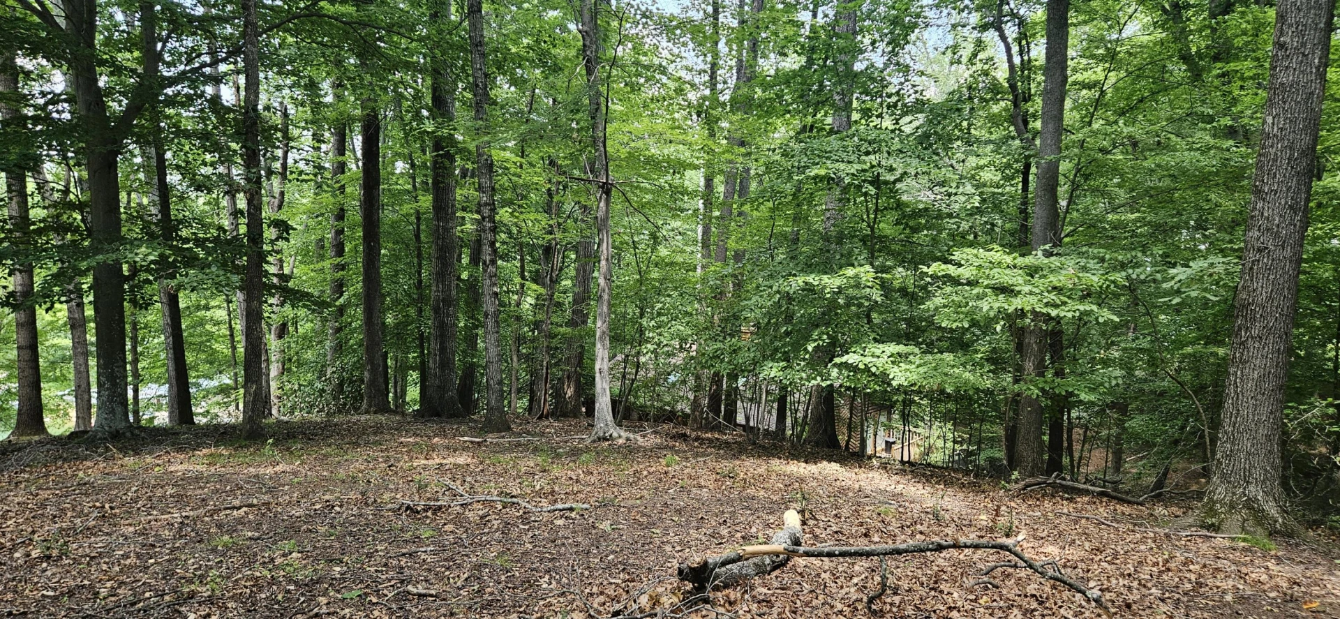Lot 14 Waterwood DR - Photo 12