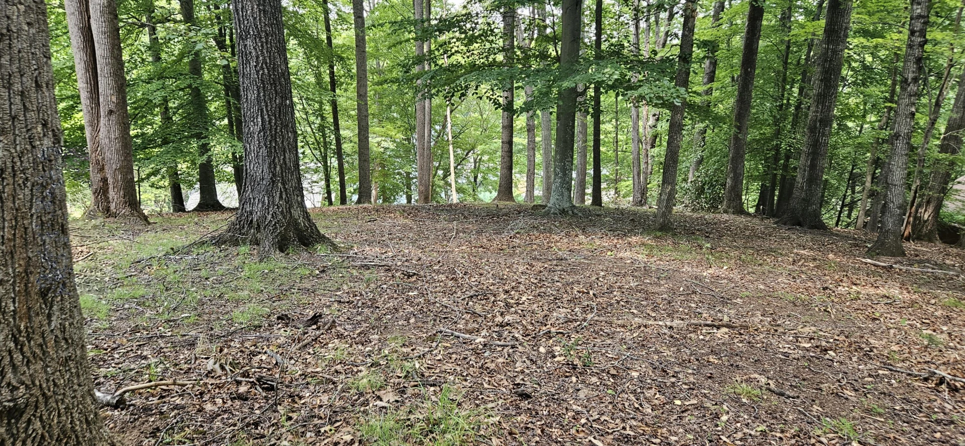 Lot 14 Waterwood DR - Photo 13