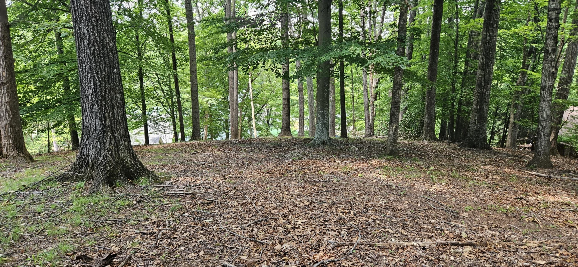 Lot 14 Waterwood DR - Photo 14