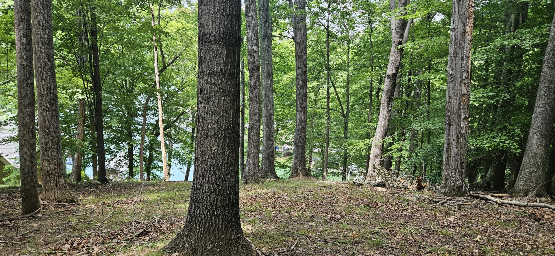Lot 14 Waterwood DR - Photo 15