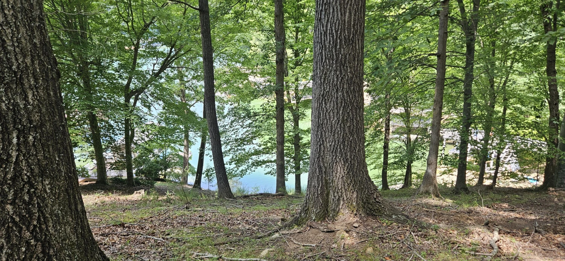 Lot 14 Waterwood DR - Photo 19