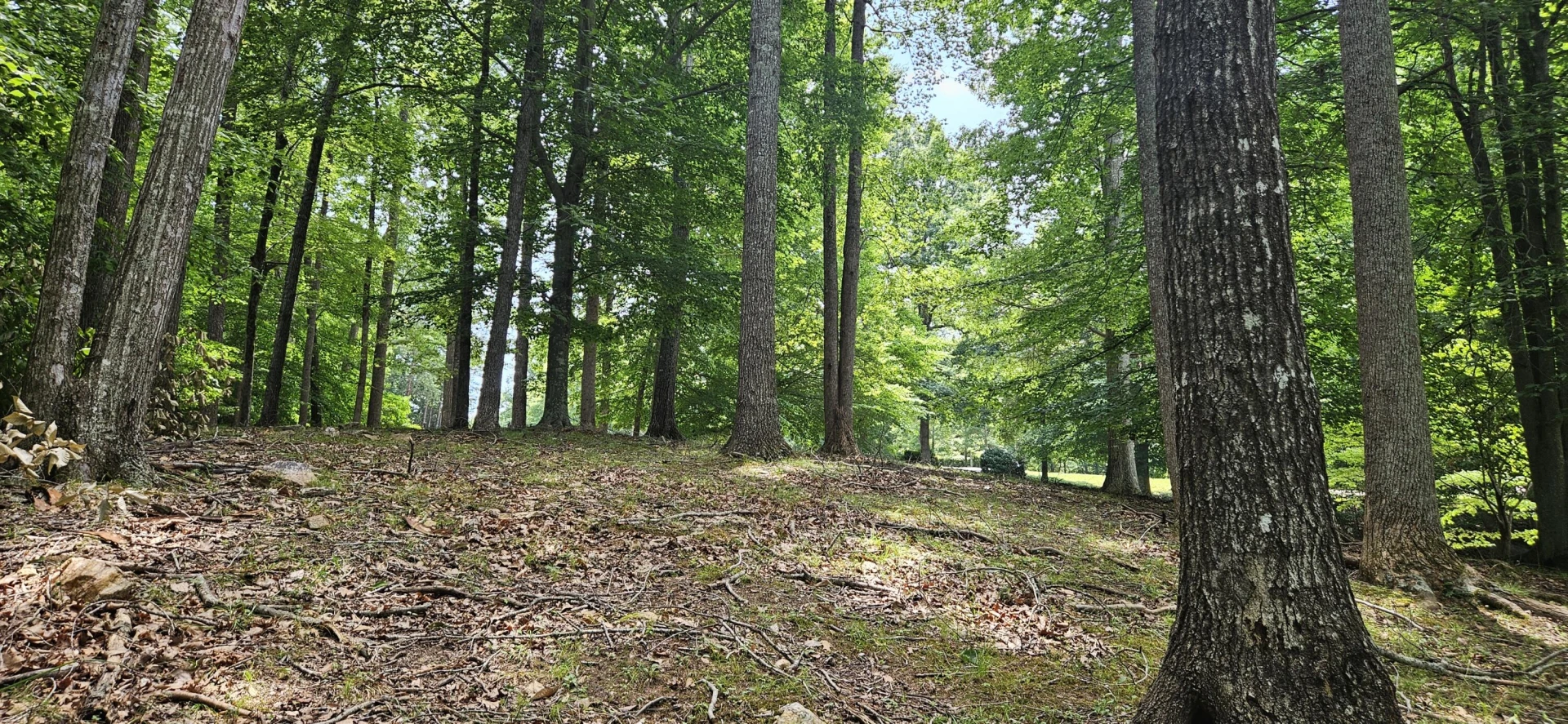 Lot 14 Waterwood DR - Photo 20