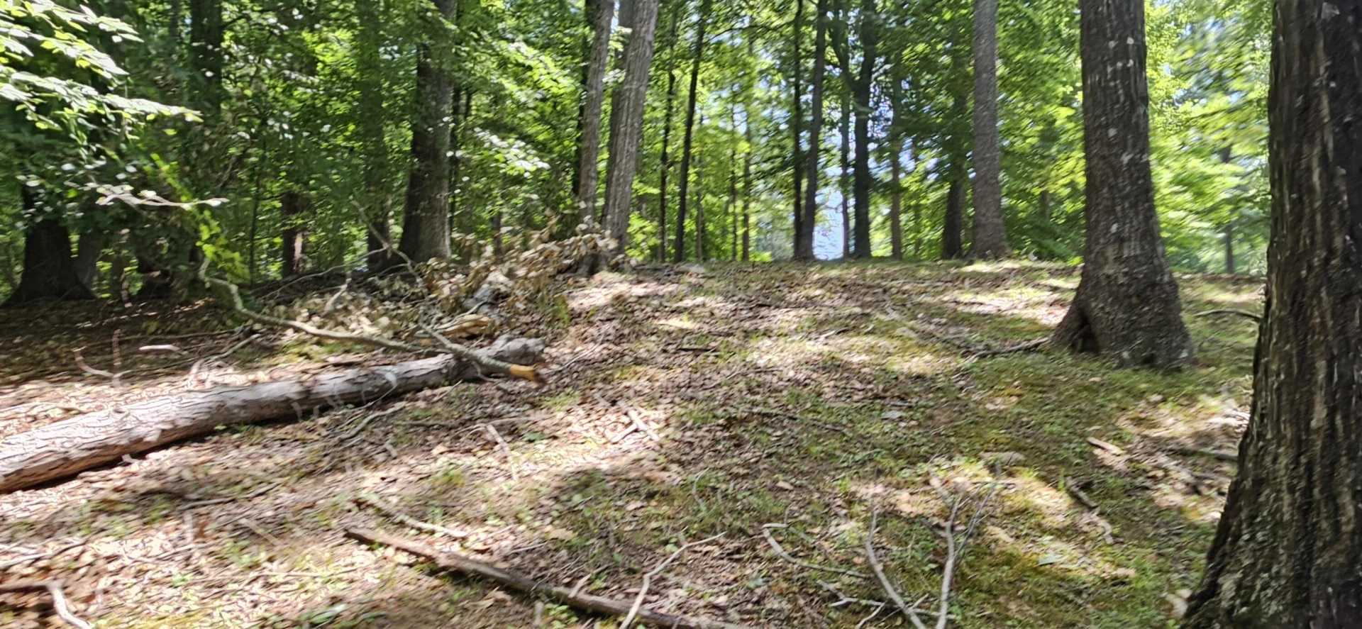 Lot 14 Waterwood DR - Photo 23