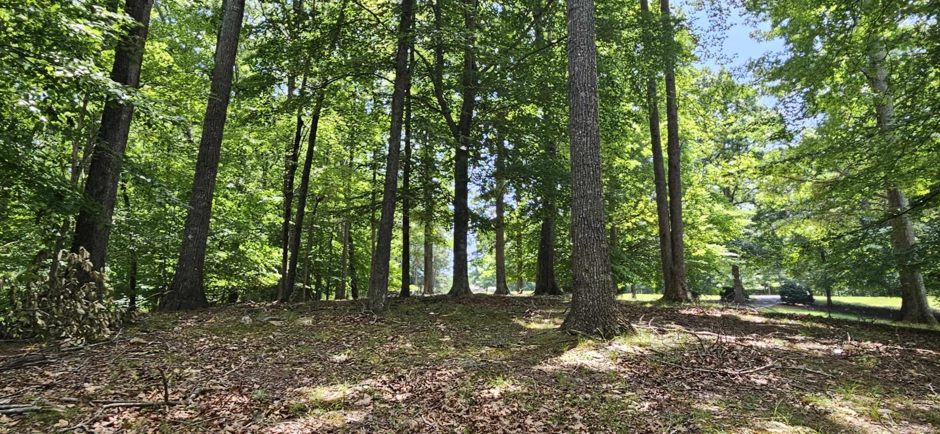 Lot 14 Waterwood DR - Photo 24
