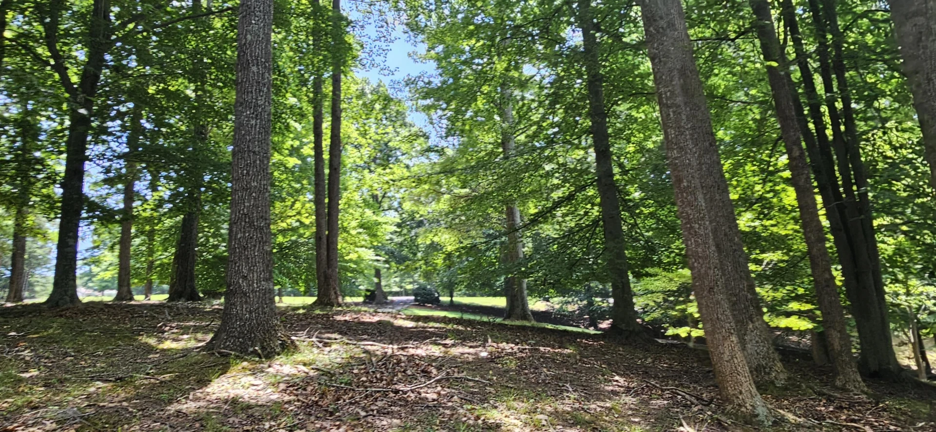 Lot 14 Waterwood DR - Photo 25