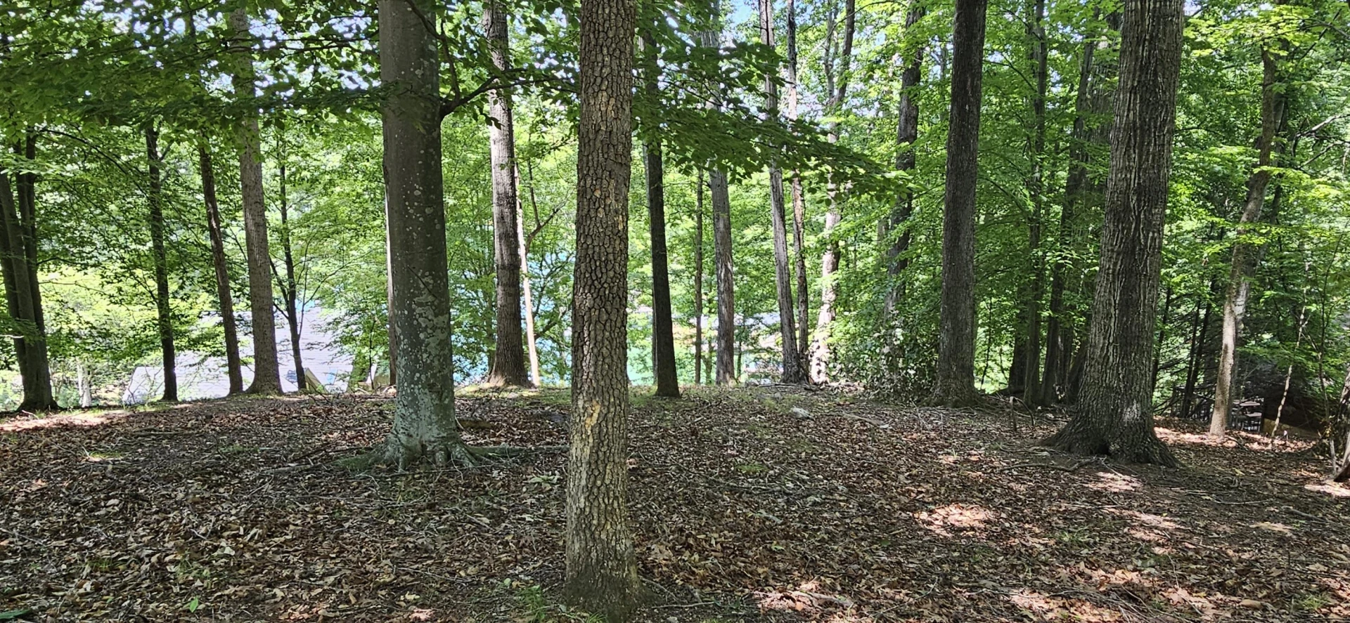 Lot 14 Waterwood DR - Photo 27