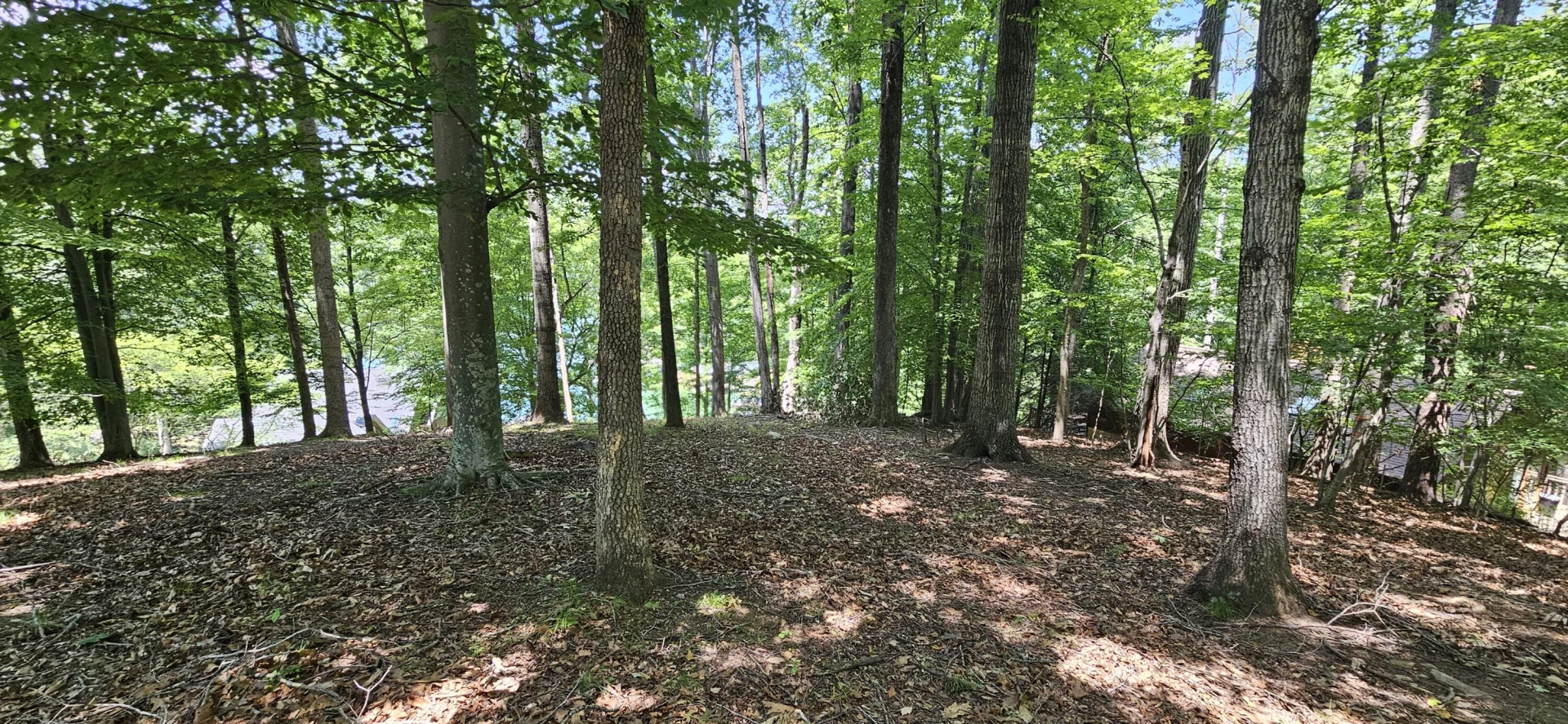 Lot 14 Waterwood DR - Photo 28