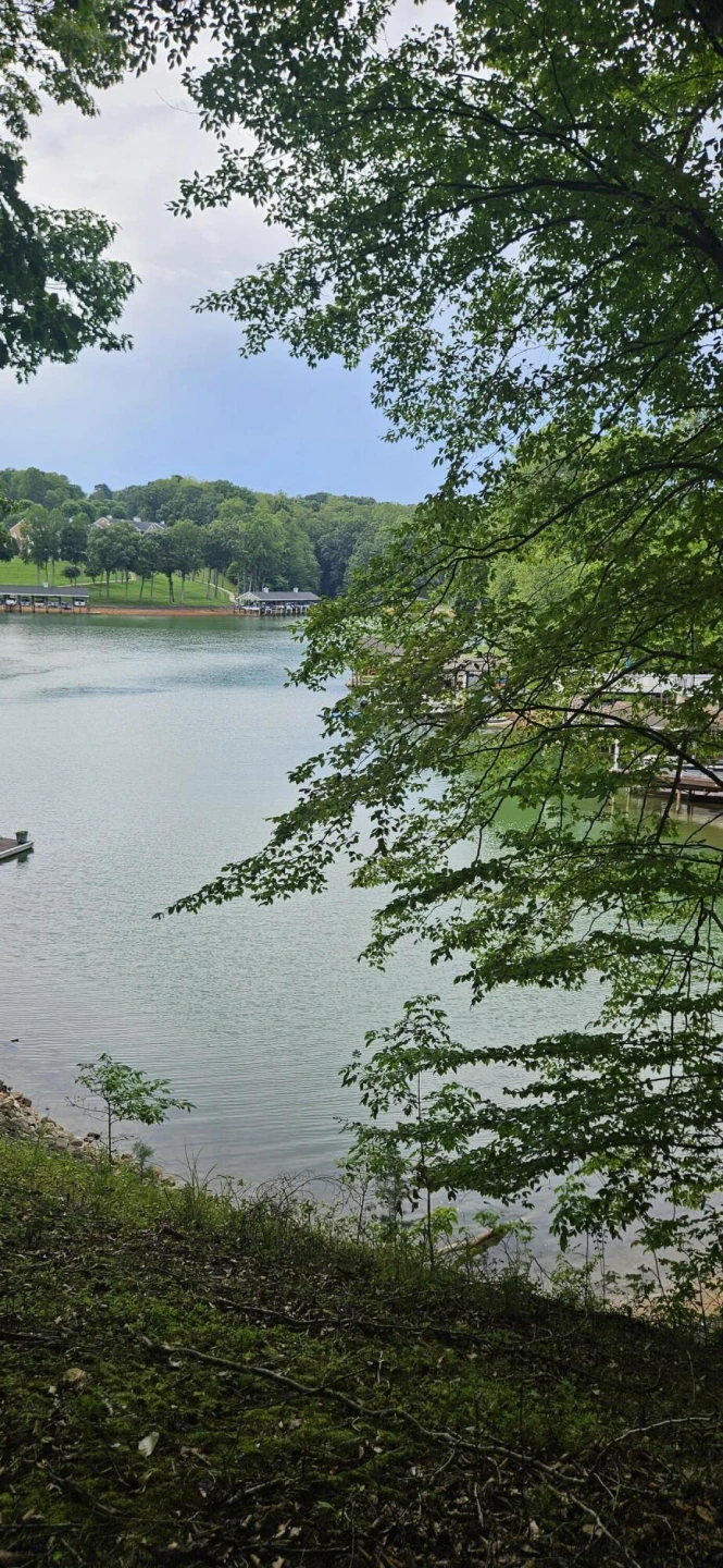 Lot 14 Waterwood DR - Photo 6