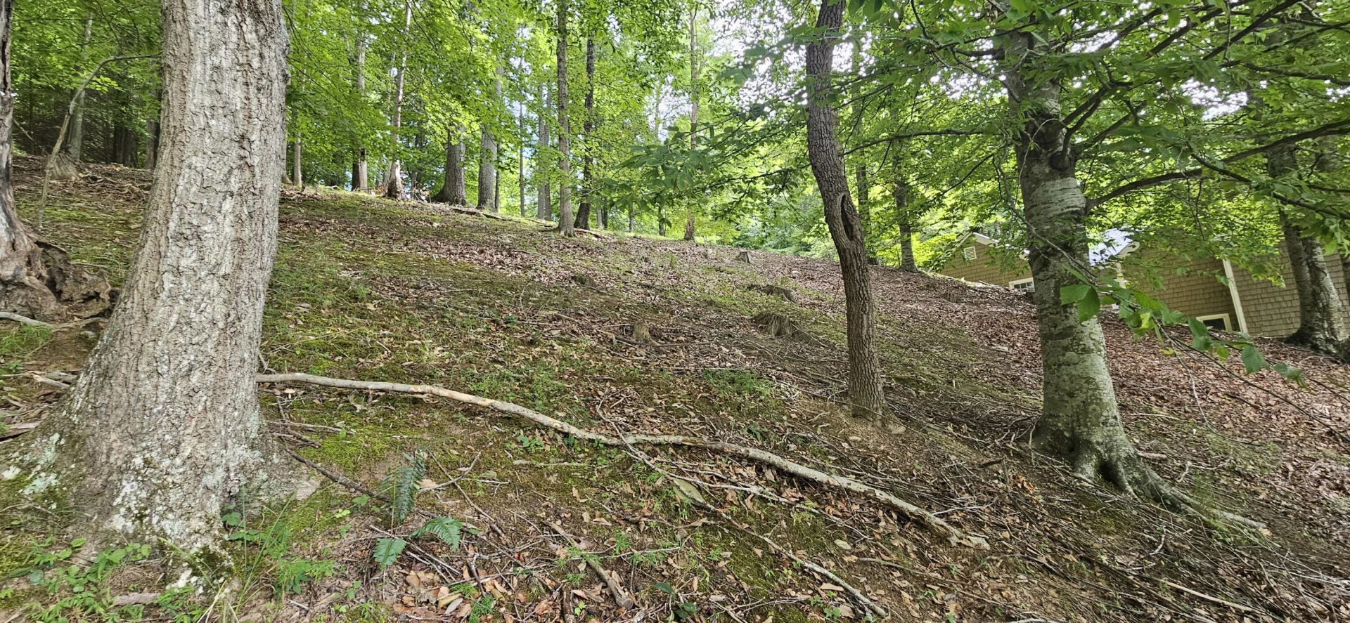 Lot 14 Waterwood DR - Photo 37