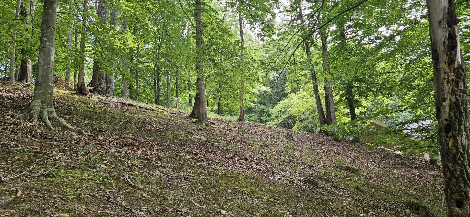 Lot 14 Waterwood DR - Photo 41