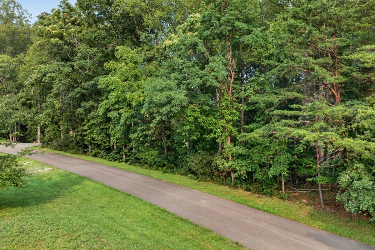LOT 6 LITTLE CREEK RD - Photo 4