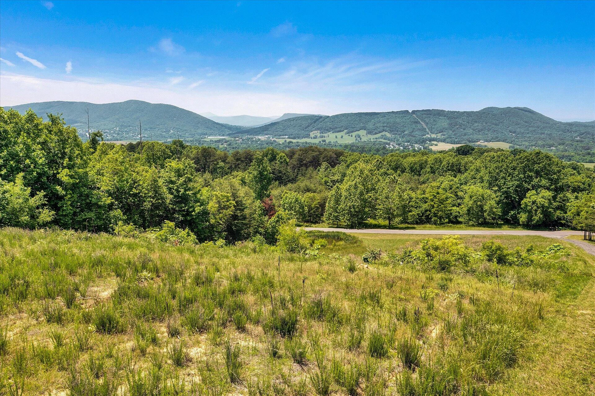 0 Misty Mountain LN - Photo 2