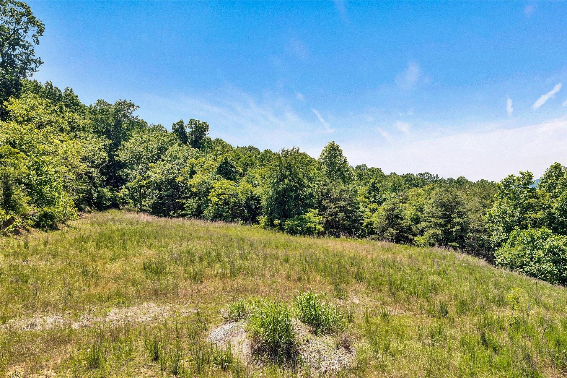 0 Misty Mountain LN - Photo 4