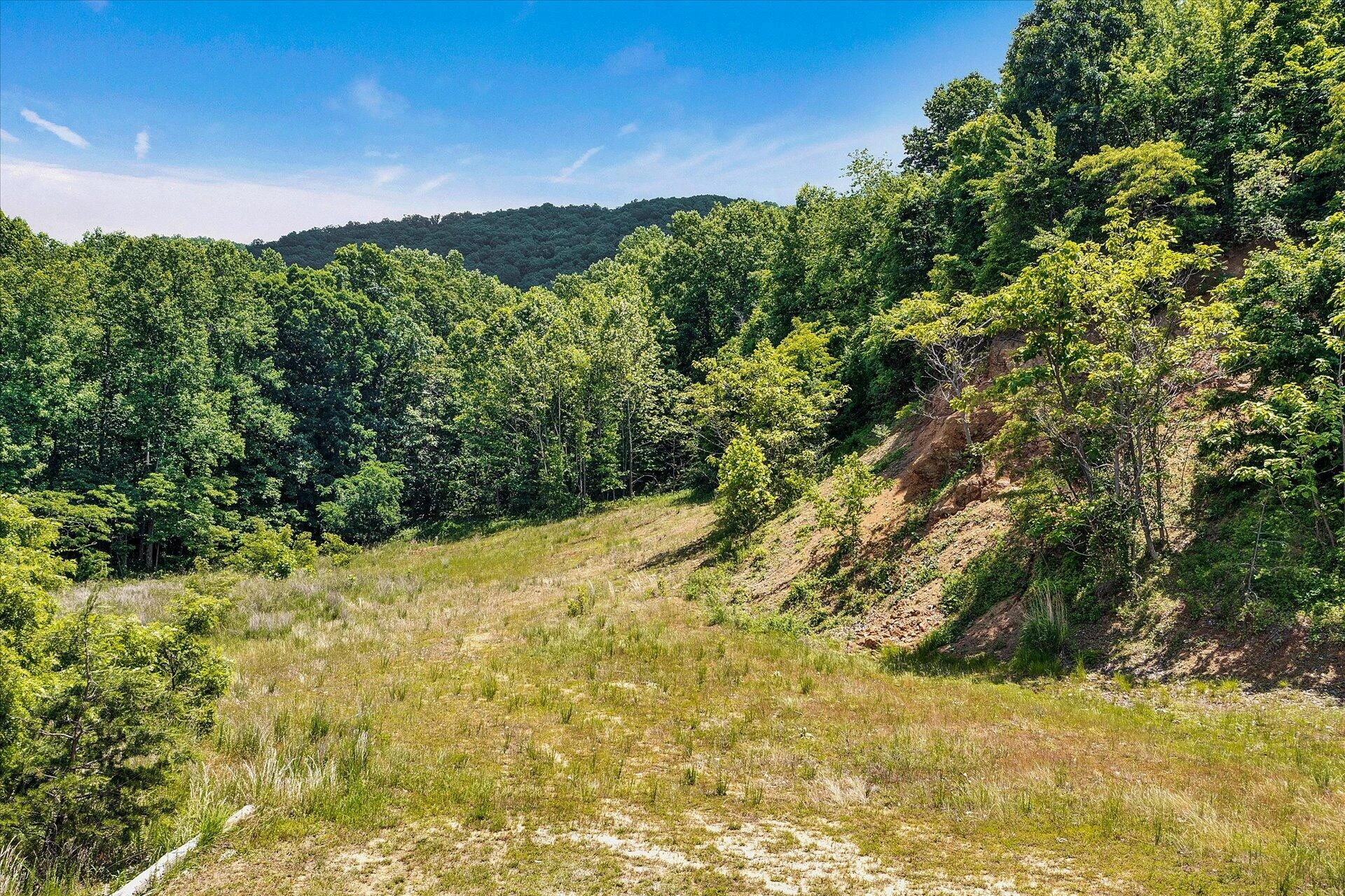 0 Misty Mountain LN - Photo 5