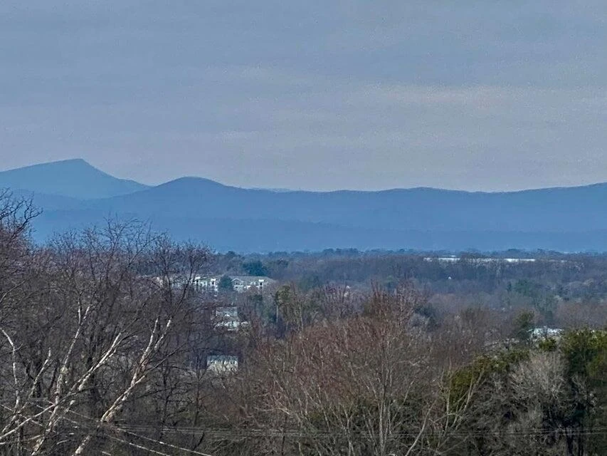 0 Breezewood CIR - Photo 3