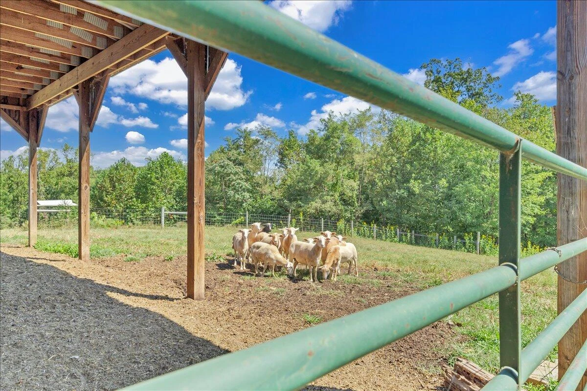 280 WOODWINDS RD - Photo 56