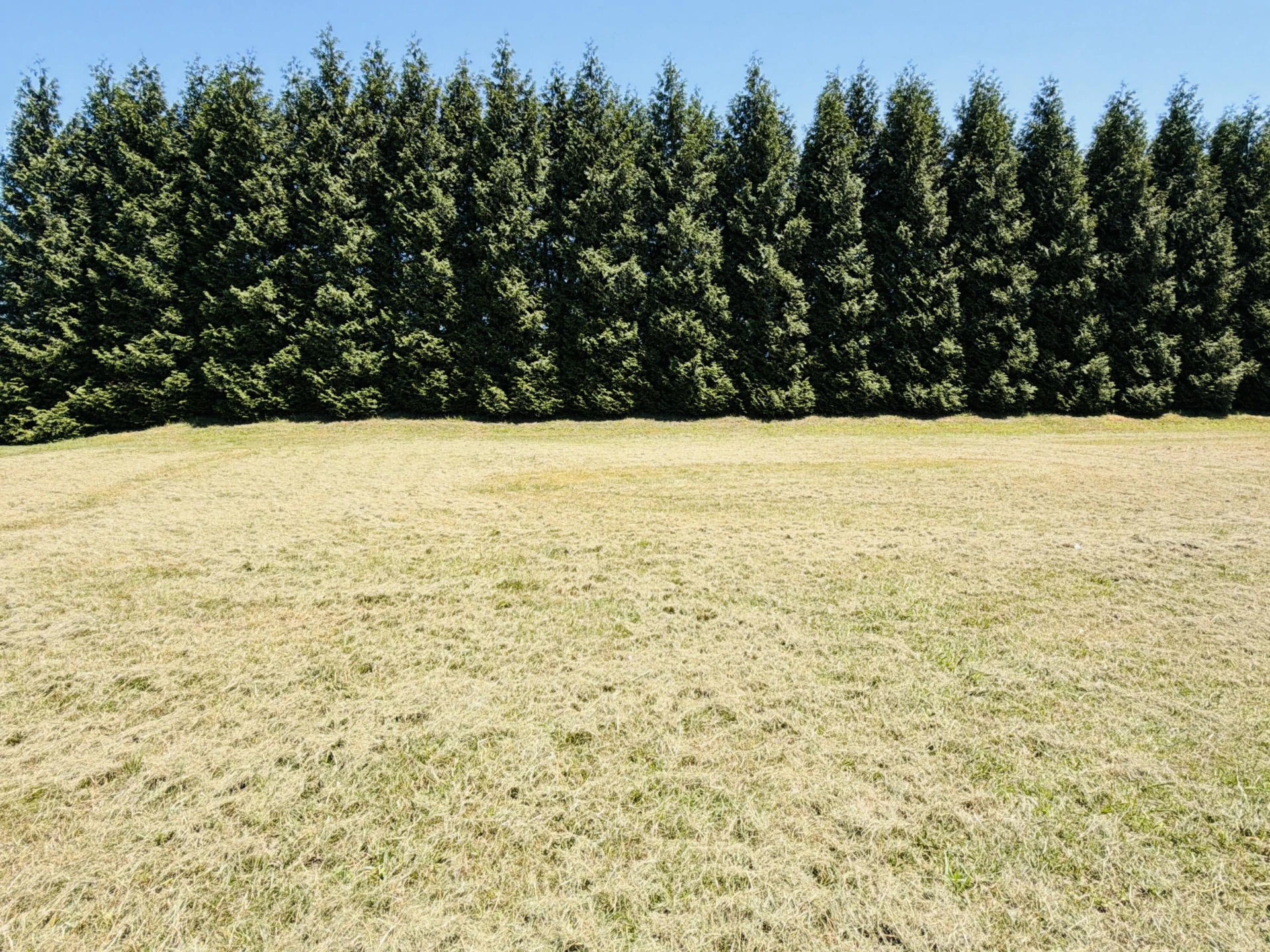 224 Nyle Ridge RD - Photo 10