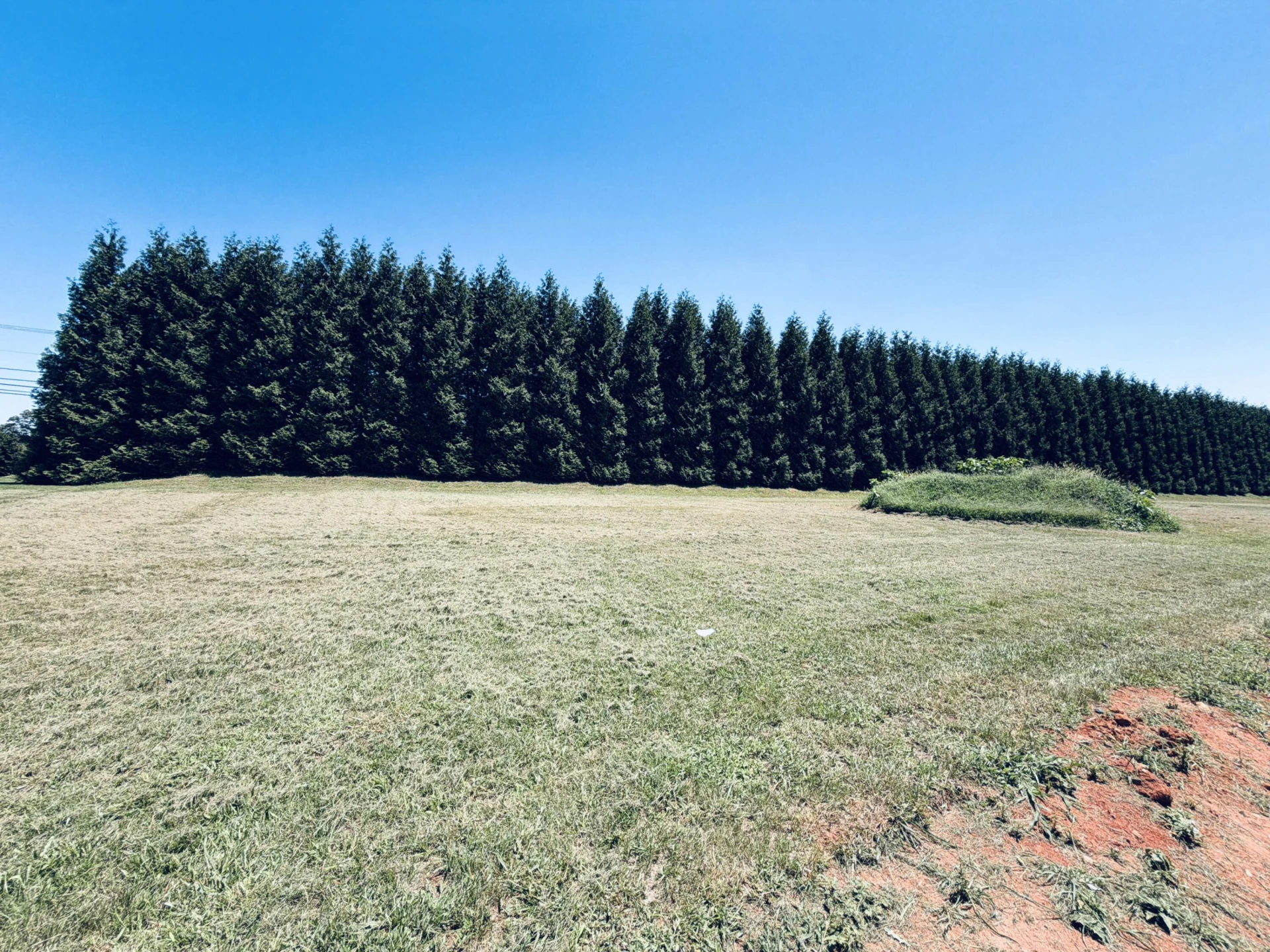 224 Nyle Ridge RD - Photo 11