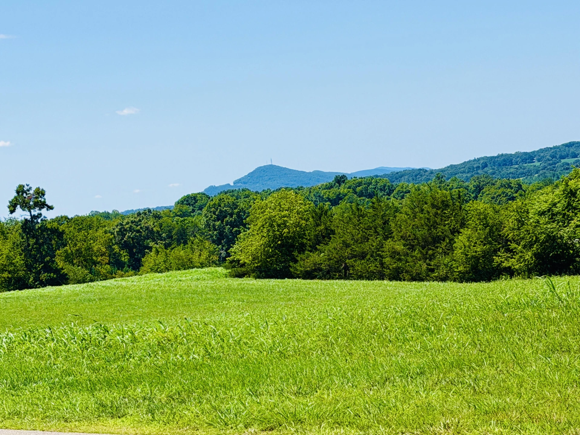 224 Nyle Ridge RD - Photo 13