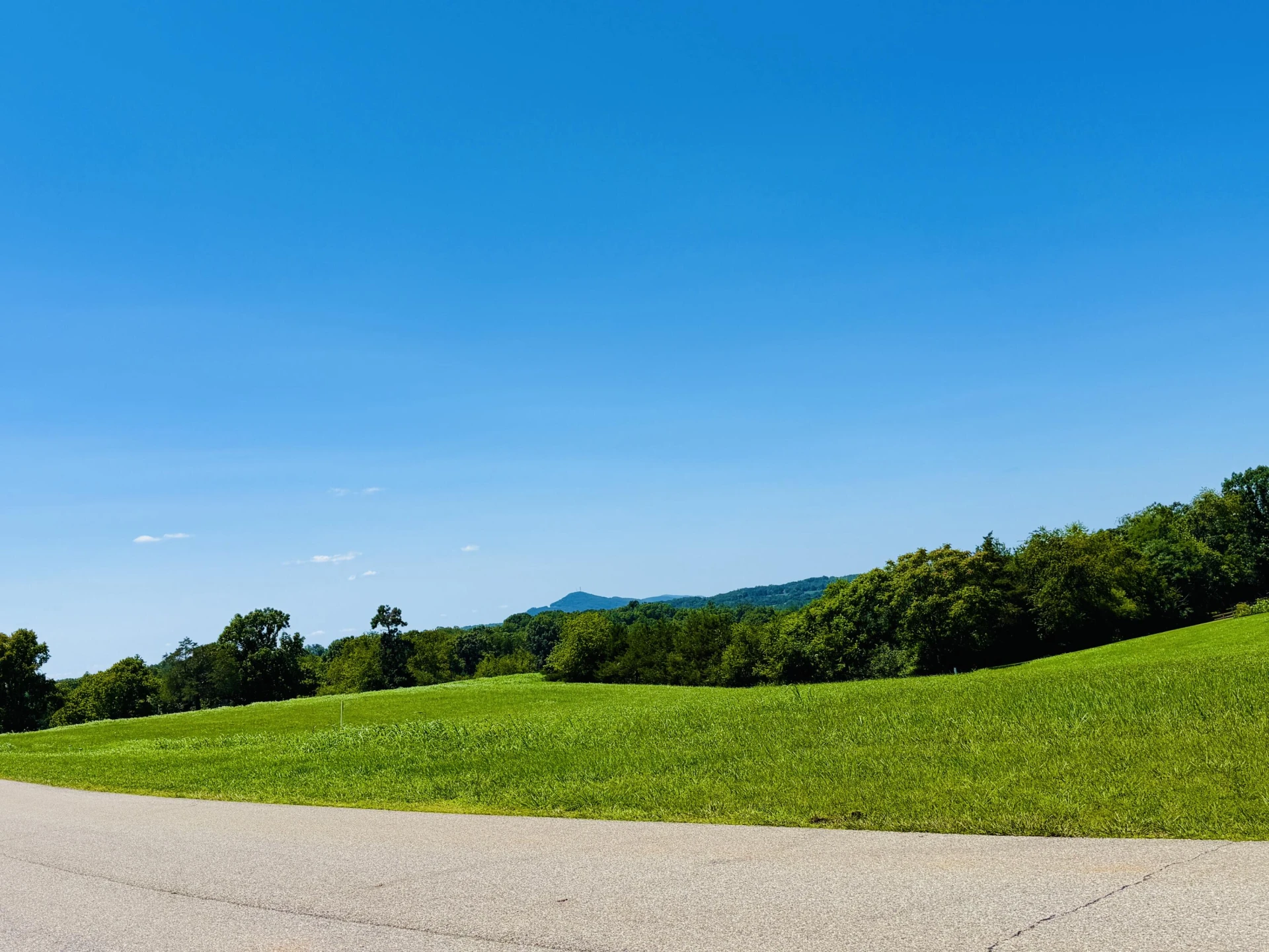 224 Nyle Ridge RD - Photo 14