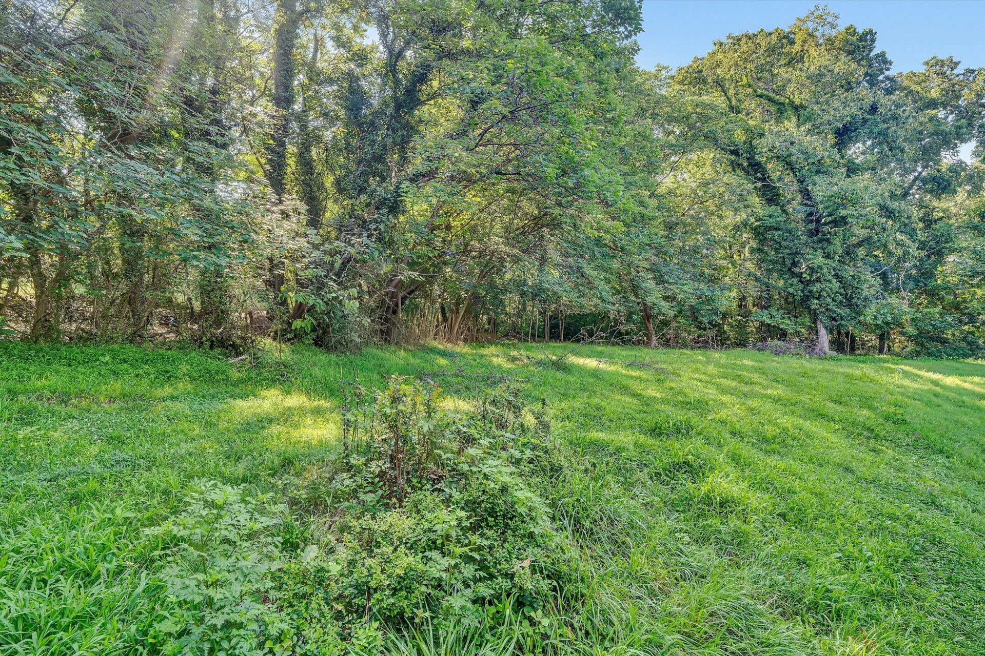 1425 Kefauver RD SE - Photo 17