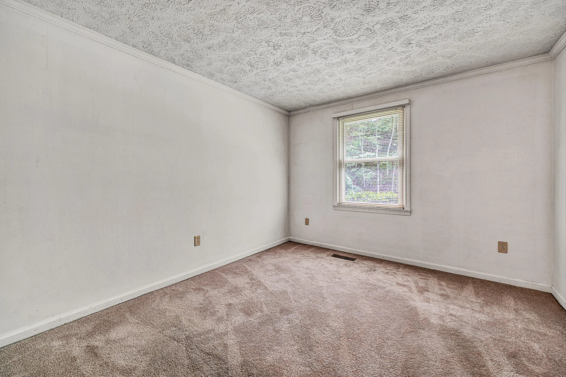 1005 Questor ST - Photo 18
