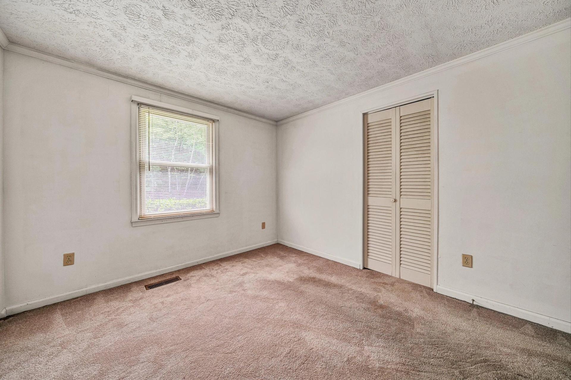 1005 Questor ST - Photo 19