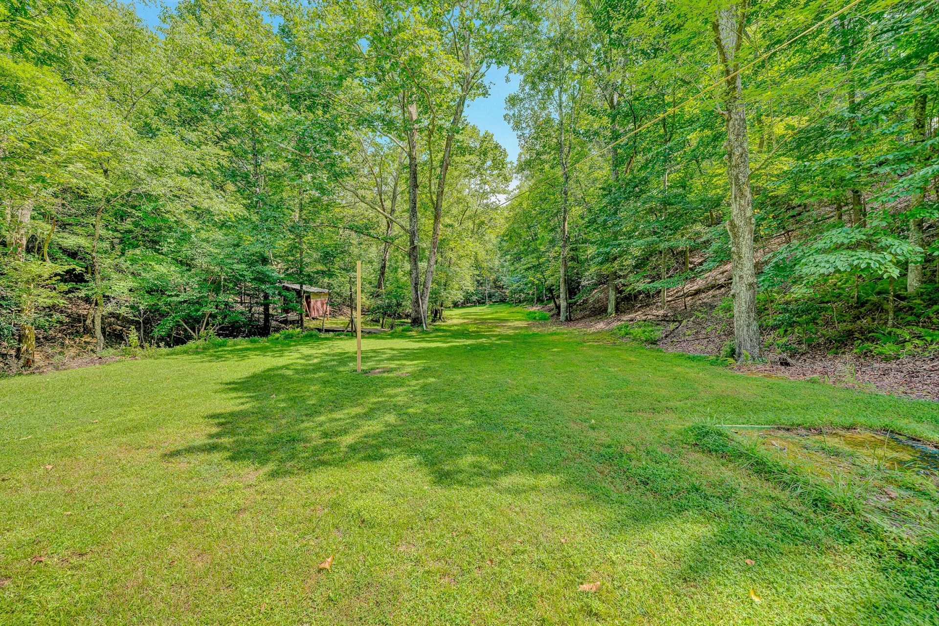 1005 Questor ST - Photo 39