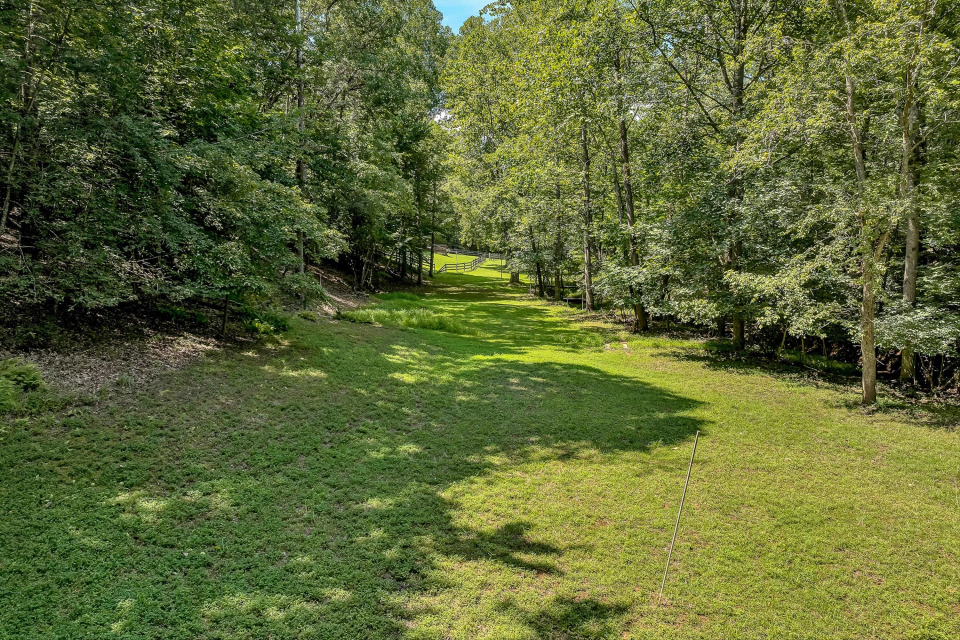 1005 Questor ST - Photo 41