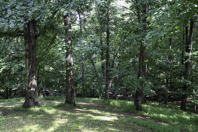 204 Bentwood DR - Photo 20