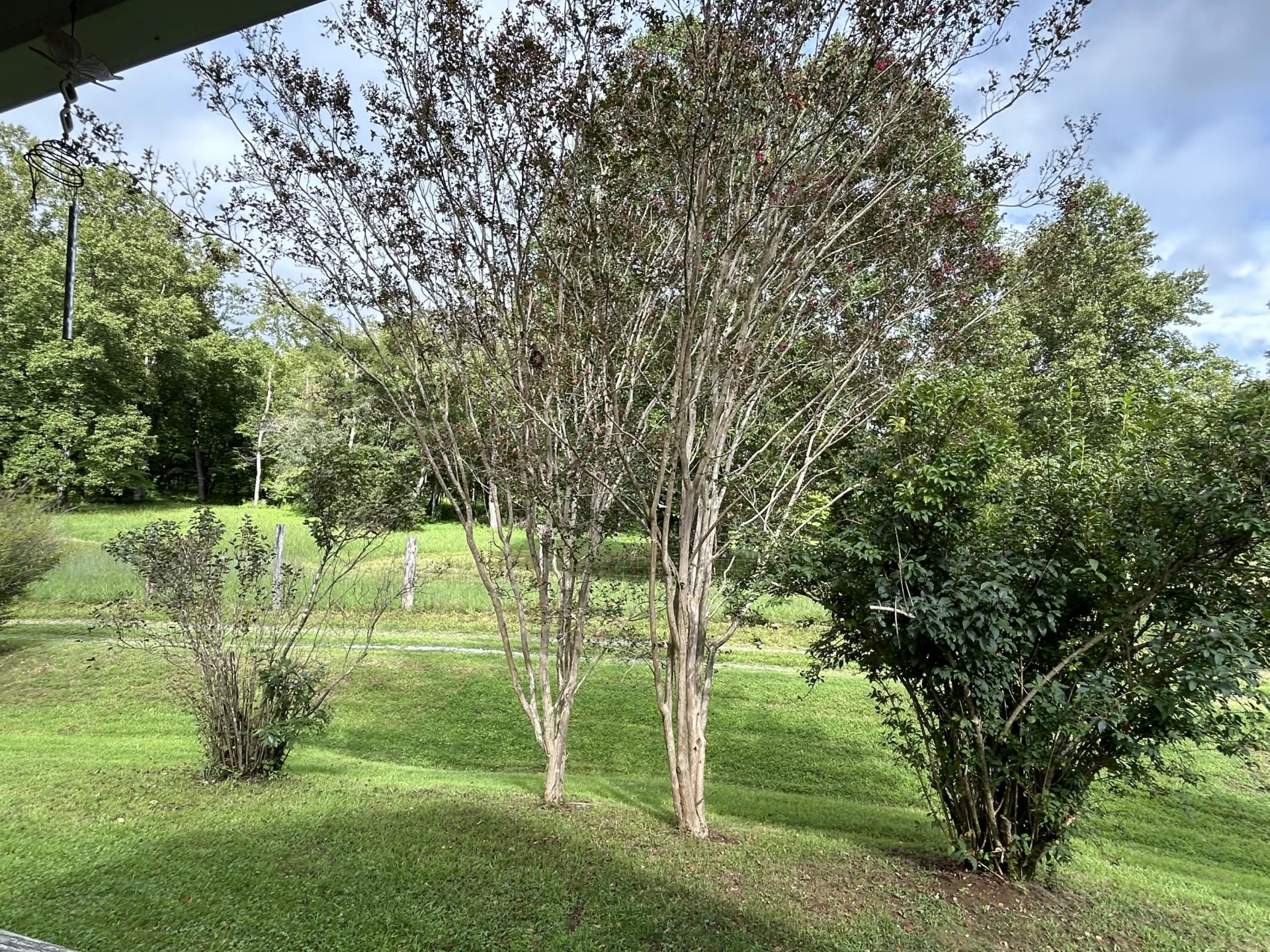 46 Harper LN - Photo 2