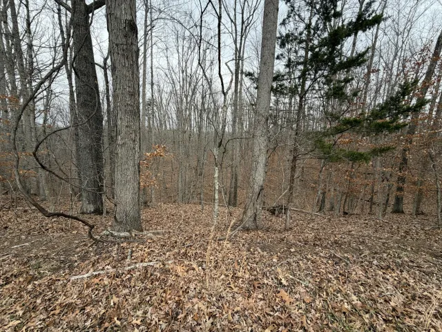Lot 25 Oak Hollow RD, Moneta, VA, 24121