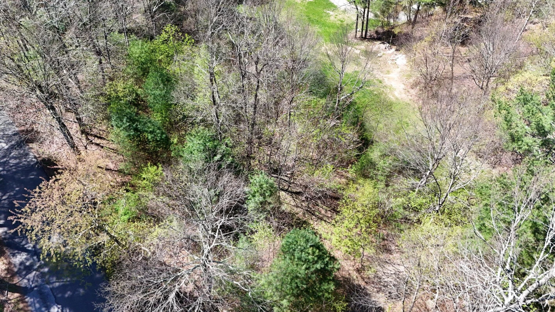 0 Ivy Ridge RD - Photo 2