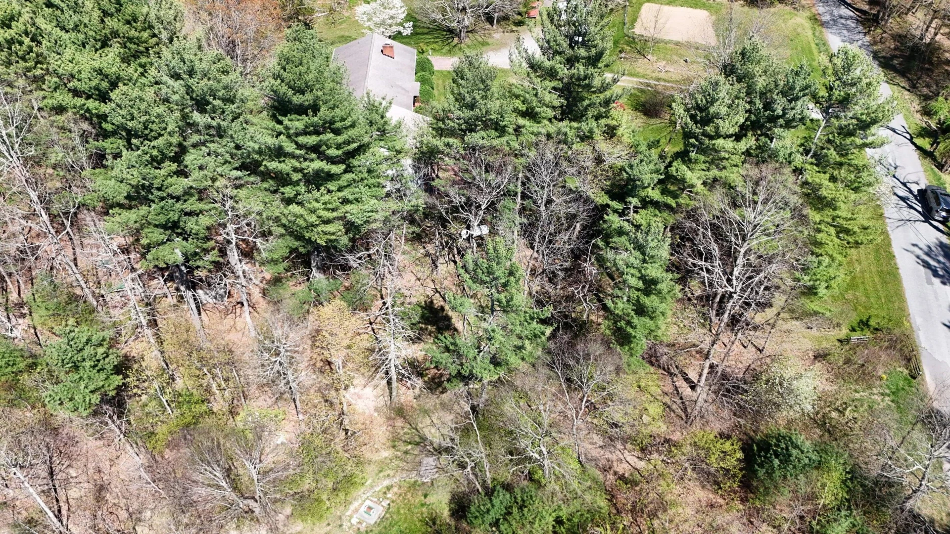 0 Ivy Ridge RD - Photo 6