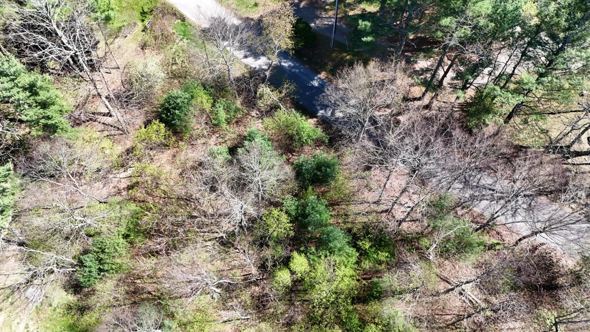 0 Ivy Ridge RD - Photo 8