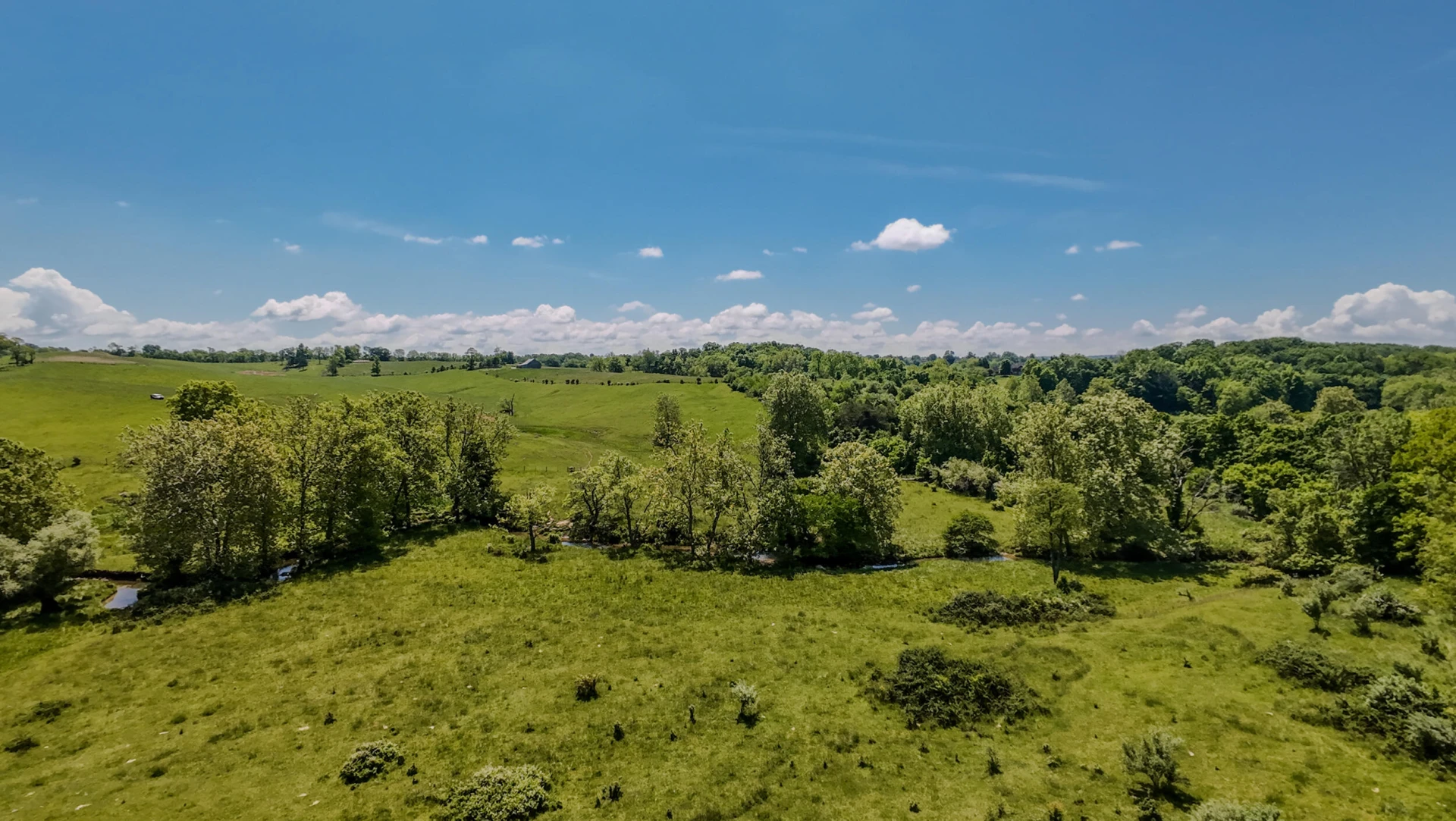 1801 Toms Creek RD - Photo 14